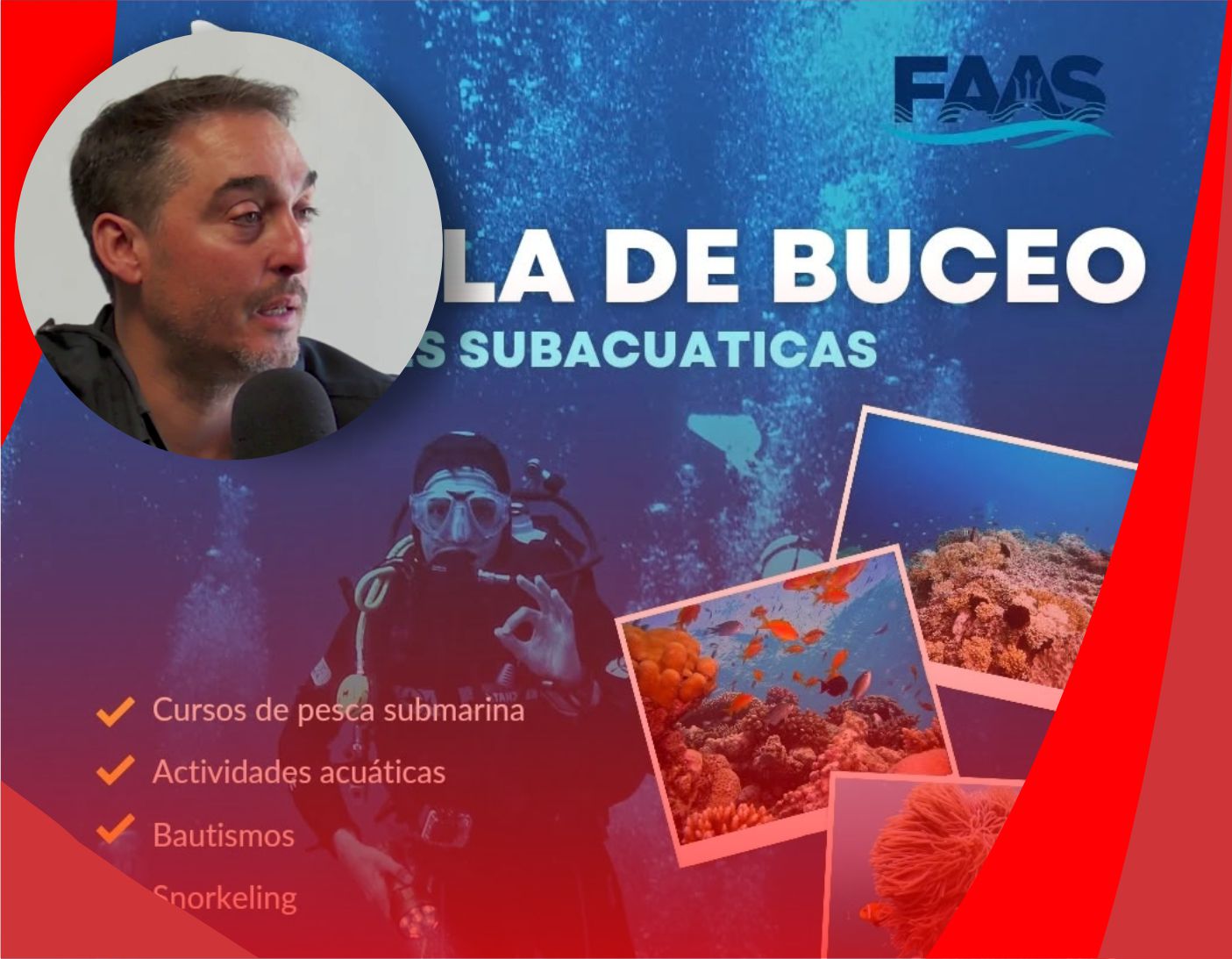 BUCEO COMODORO