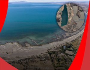 lago musters